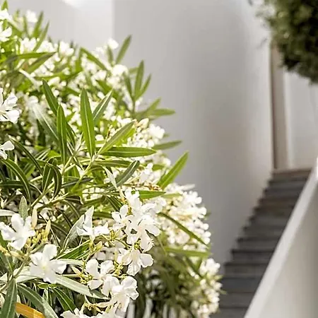 Philosophy Of Mykonos Boutique 호텔